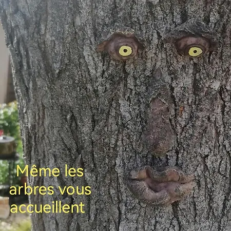 La Fee Viviane Et Michel L'enchanteur *