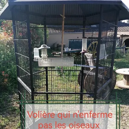 La Fee Viviane Et Michel L'enchanteur *