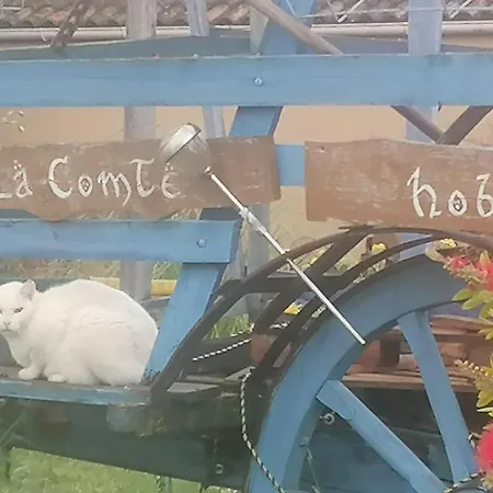 La Fée Viviane Et Michel L'enchanteur Couette-café *
