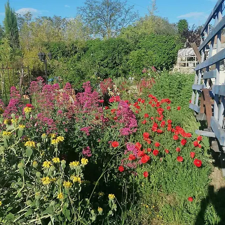 La Fee Viviane Et Michel L'enchanteur Robion en Luberon